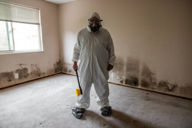 Tallassee, AL Mold Remediation Company